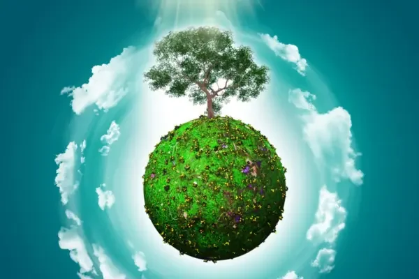 Environmental Protection Environmental Protection